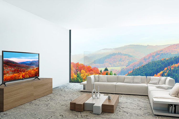 vinameeting tivi lg 49 inch